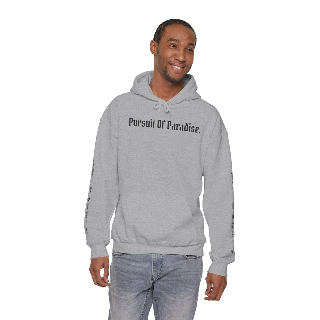 AtelierOfEden "Pursuit Of Paradise." Coordinates Hoodie