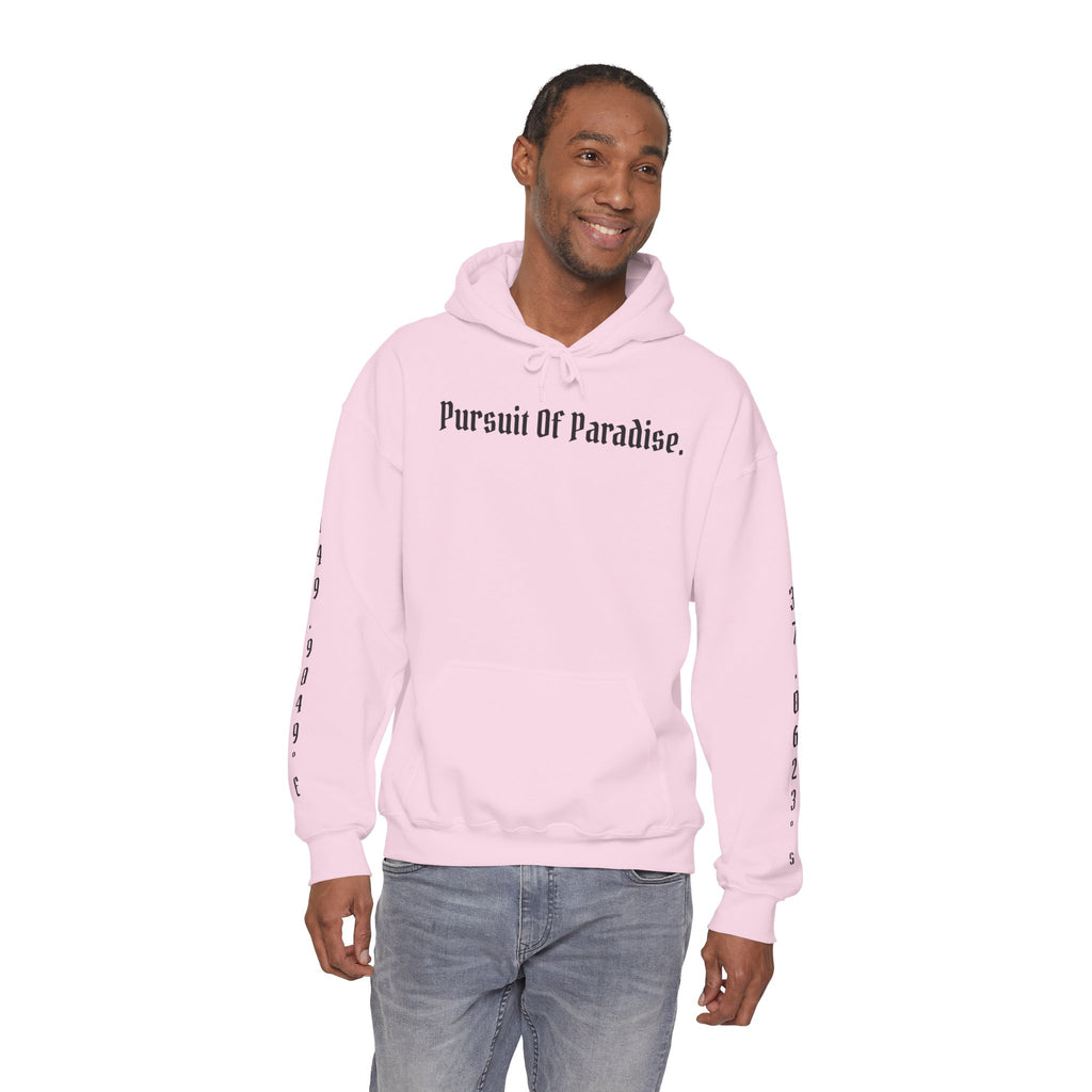 AtelierOfEden "Pursuit Of Paradise." Coordinates Hoodie