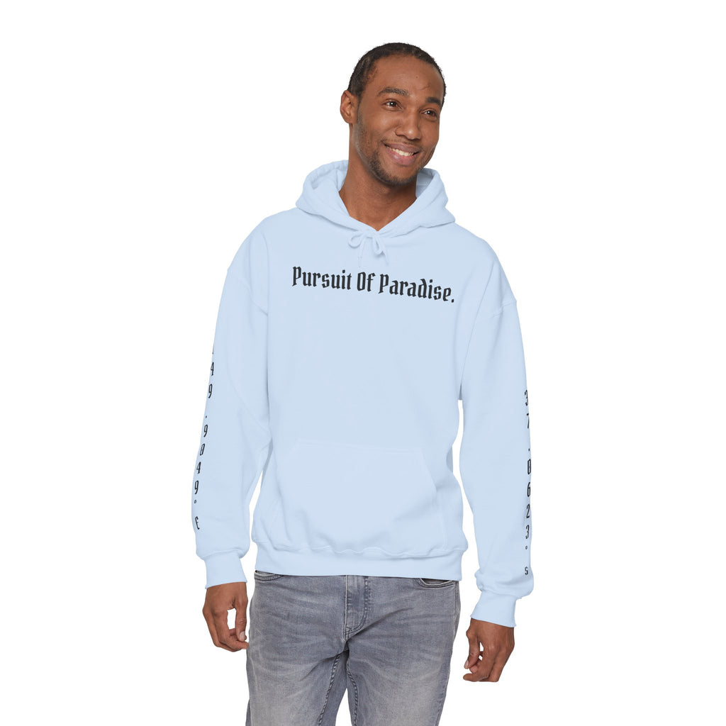 AtelierOfEden "Pursuit Of Paradise." Coordinates Hoodie