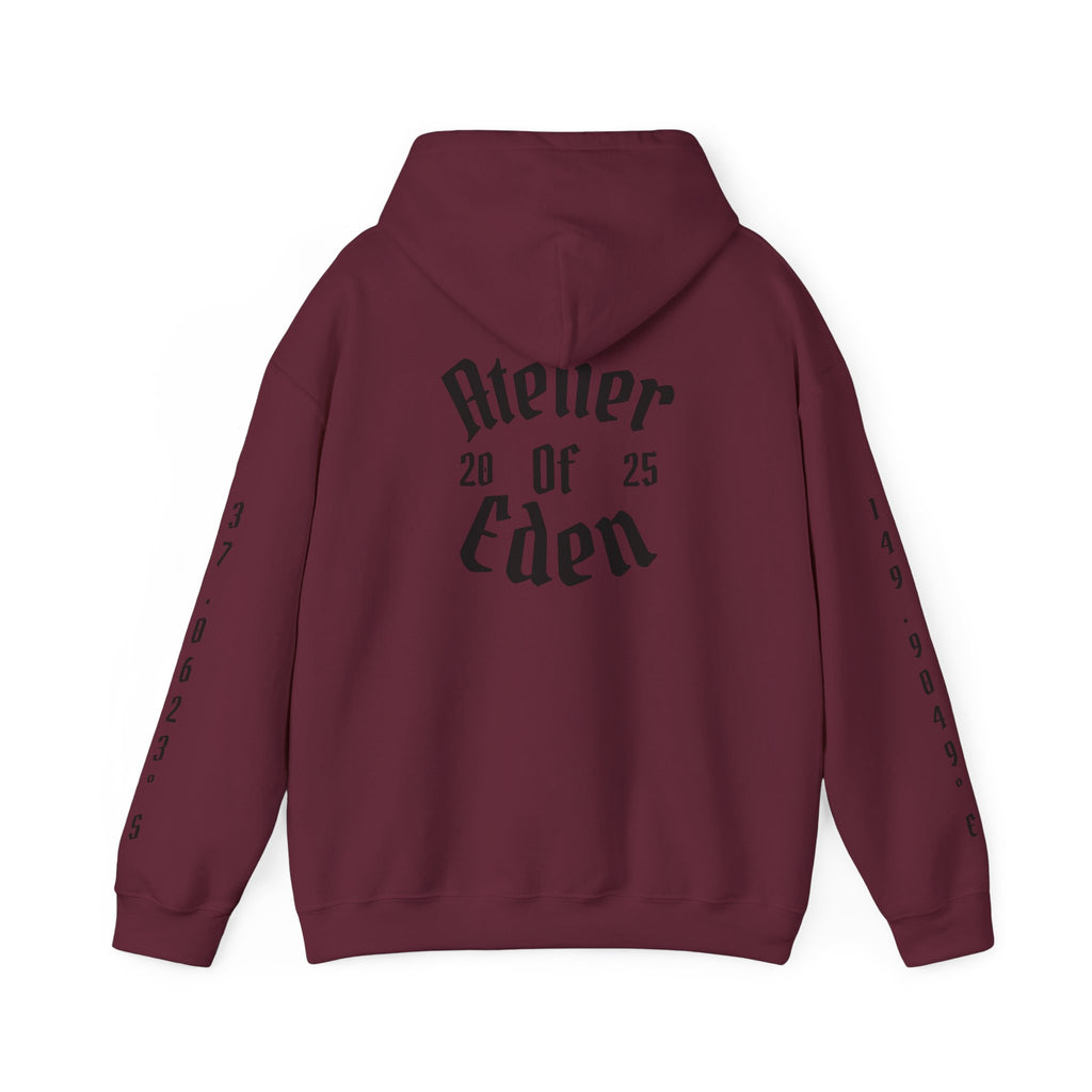 AtelierOfEden "Pursuit Of Paradise." Coordinates Hoodie