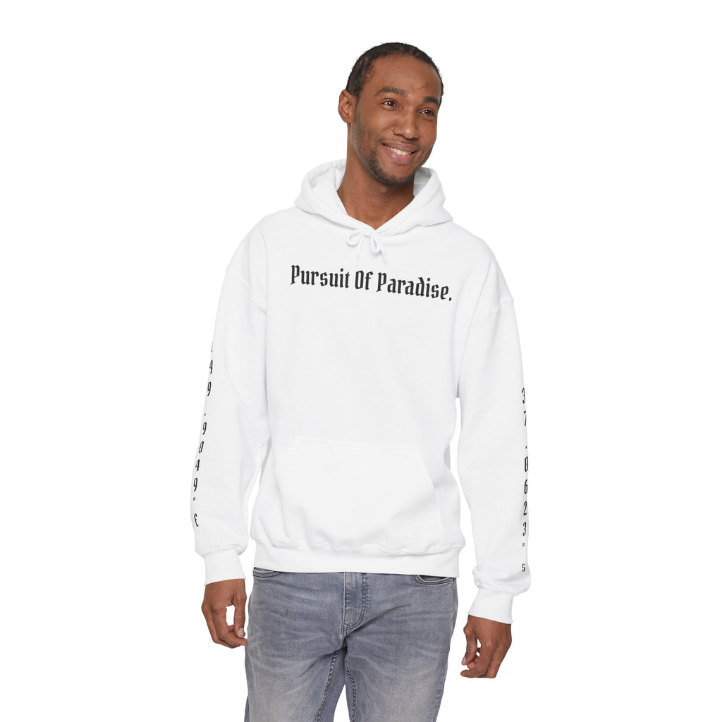 AtelierOfEden "Pursuit Of Paradise." Coordinates Hoodie